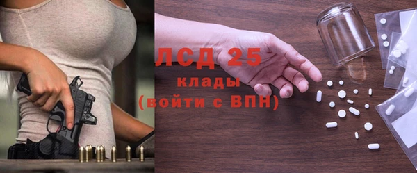 крисы Абаза