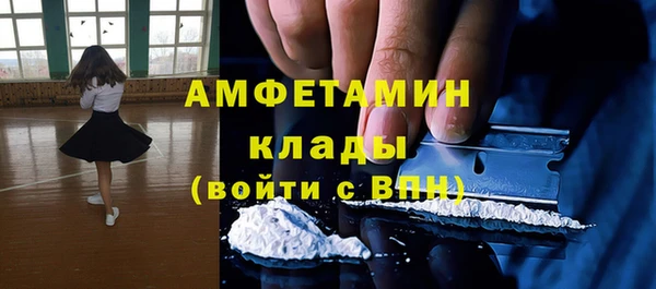 крисы Абаза