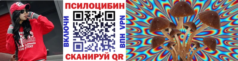 Псилоцибиновые грибы GOLDEN TEACHER  наркошоп  Отрадная 